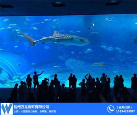 杭州大型亞克力魚缸設(shè)計(jì)公司及廠家推薦 全景展示，打造水中藝術(shù)