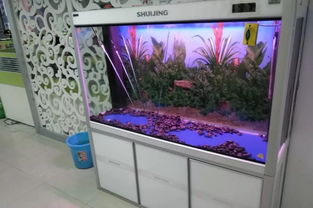 魚缸也有壽命，你的魚缸是否已“過期”？