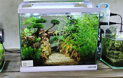 廣州圓形錦鯉生態(tài)魚(yú)缸造景 問(wèn)初為您打造流動(dòng)的東方詩(shī)意畫(huà)卷